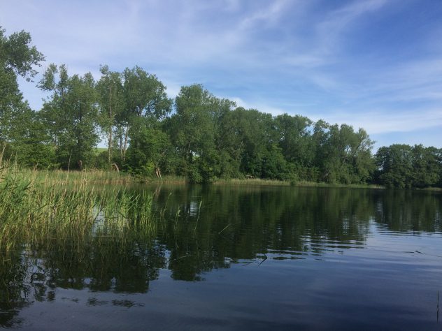 Der mit Bäumen umfriedete klare See in Dreesch liegt wenige Gehminuten vom Hof entfernt Der mit Bäumen umfriedete klare See in Dreesch liegt wenige Gehminuten vom Hof entfernt