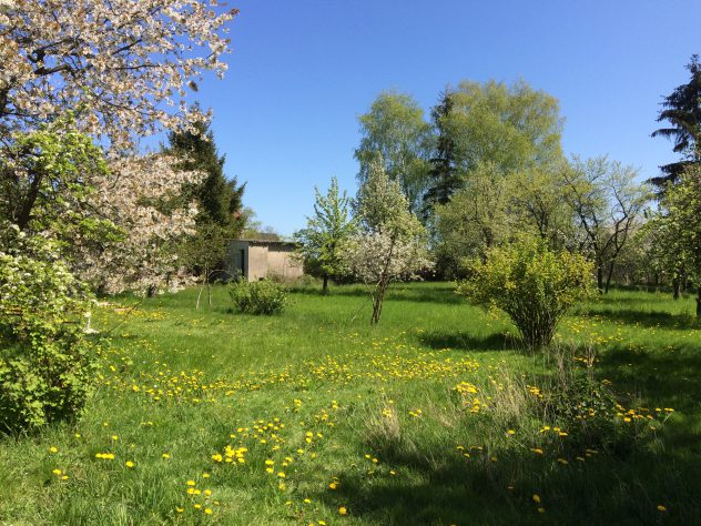 Der große Obstgarten hinter dem Haus Dreesch7 Der große Obstgarten hinter dem Haus Dreesch7